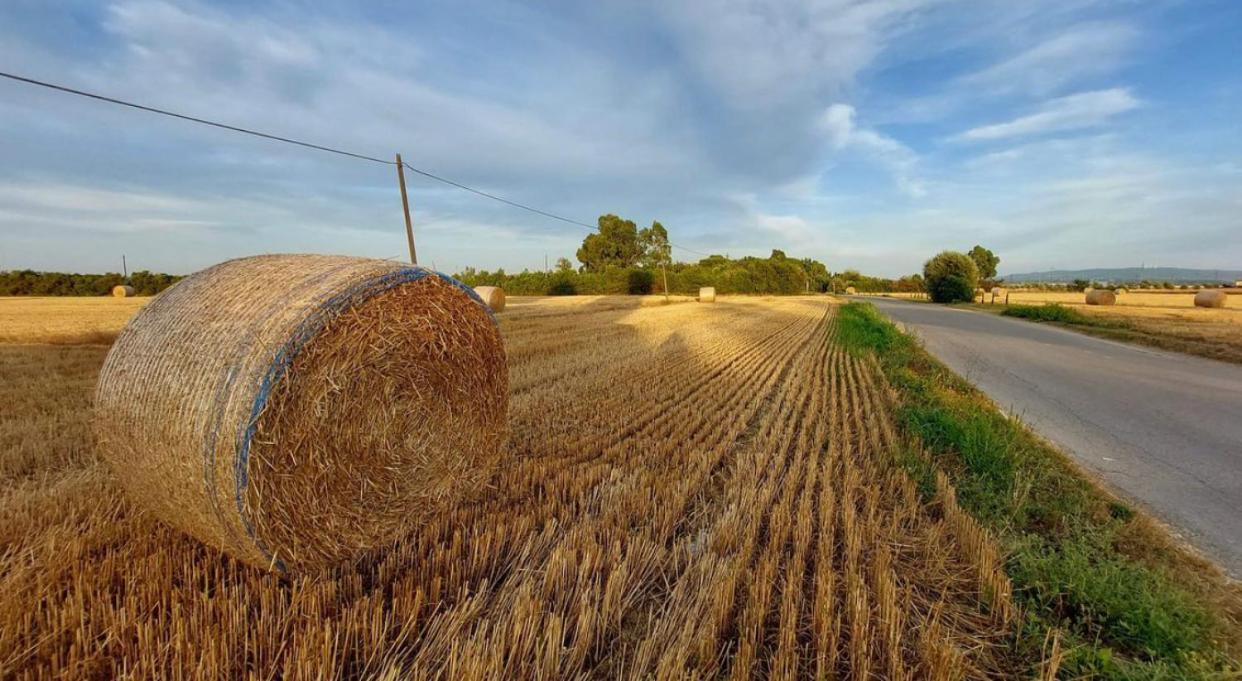 Il Cantuccio Cascina Exteriér fotografie