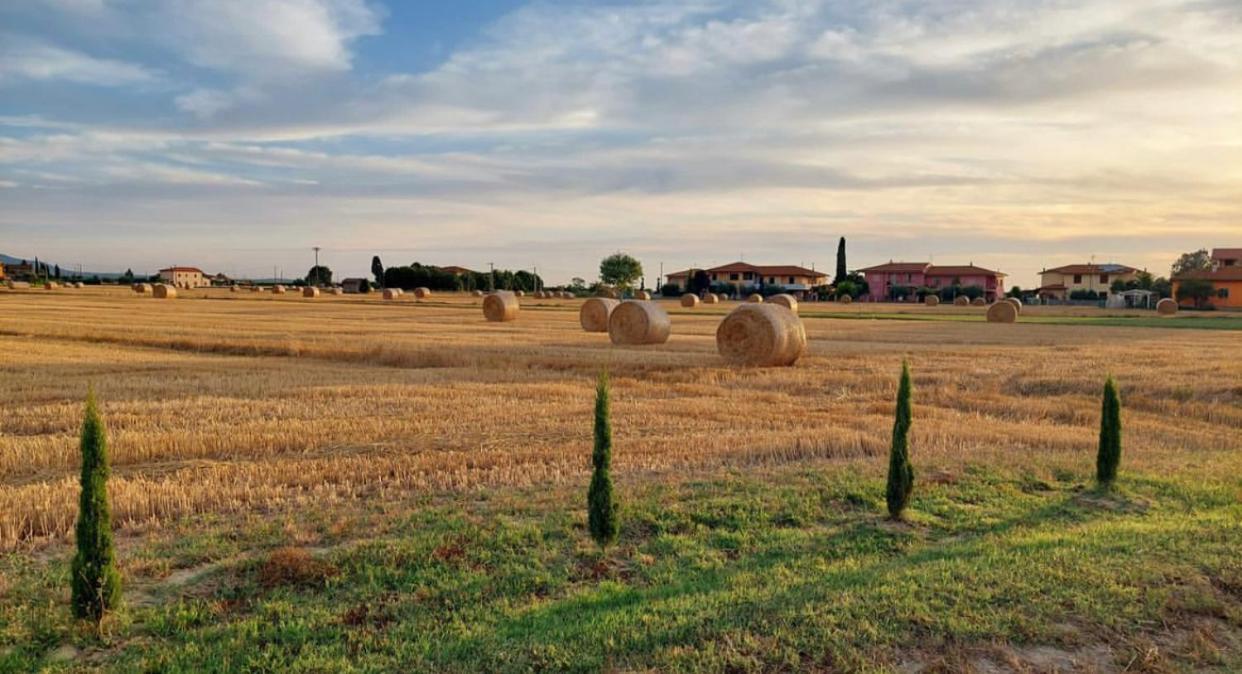 Il Cantuccio Cascina Exteriér fotografie