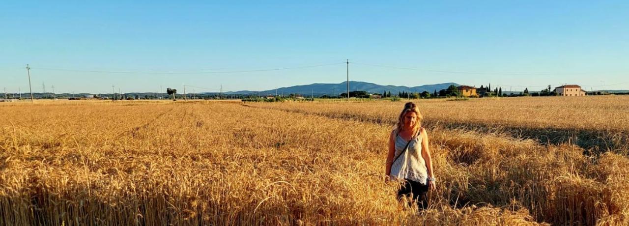 Il Cantuccio Cascina Exteriér fotografie