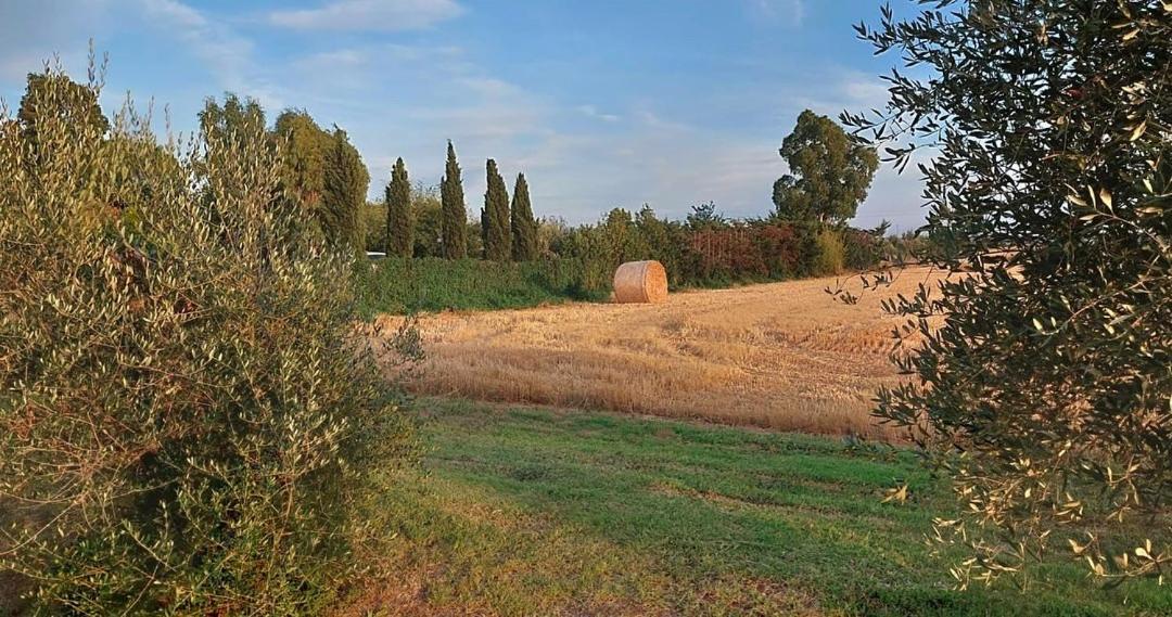 Il Cantuccio Cascina Exteriér fotografie